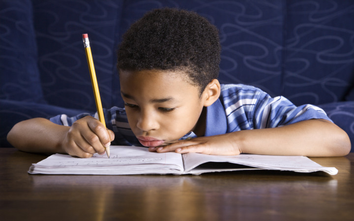 A young boy studying