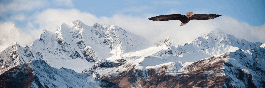 An eagle flying through snowy mountains