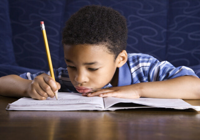 A young boy studying